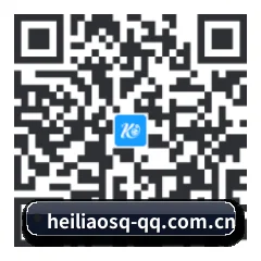 华为星粉版 二维码